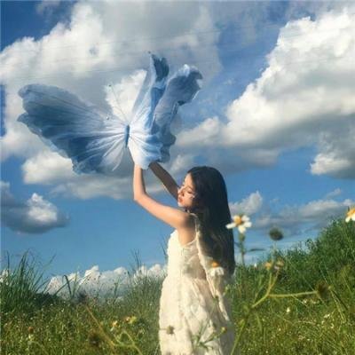 完美拍档2017